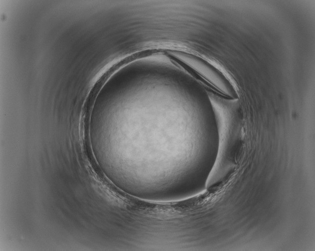 X0000083610983200702201245