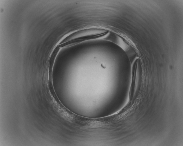 X0000083610984200702201245