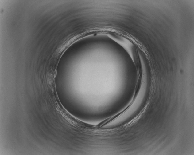 X0000083610985200702201245