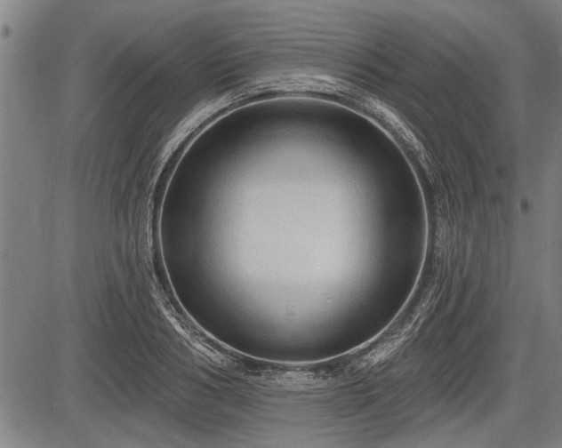 X0000083610986200702201245