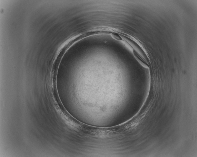 X0000083610987200702201245