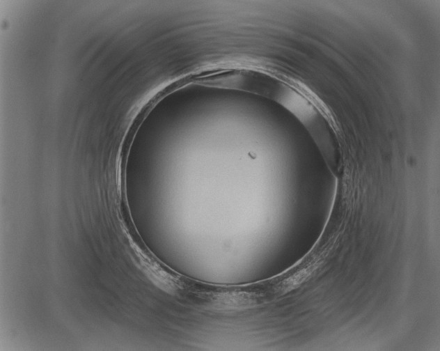 X0000083610988200702201245