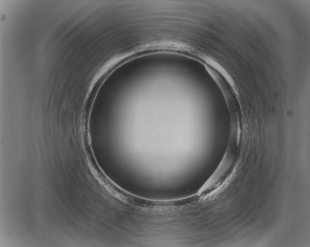 X0000083610989200702201245