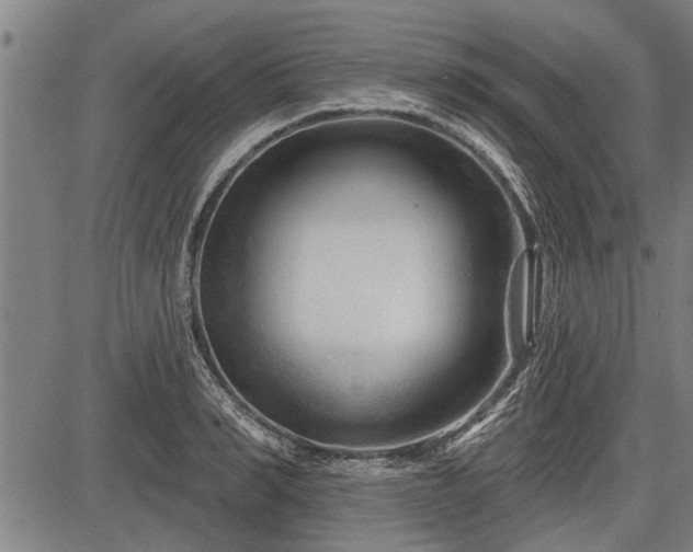 X0000083610990200702201245