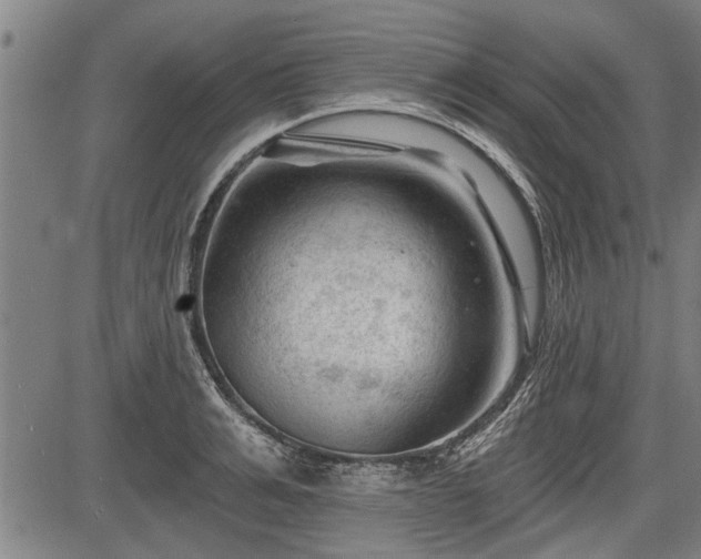 X0000083610991200702201245