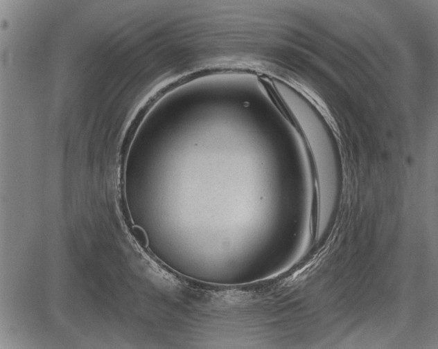 X0000083610992200702201245