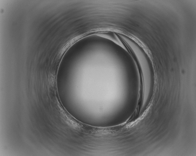 X0000083610993200702201245