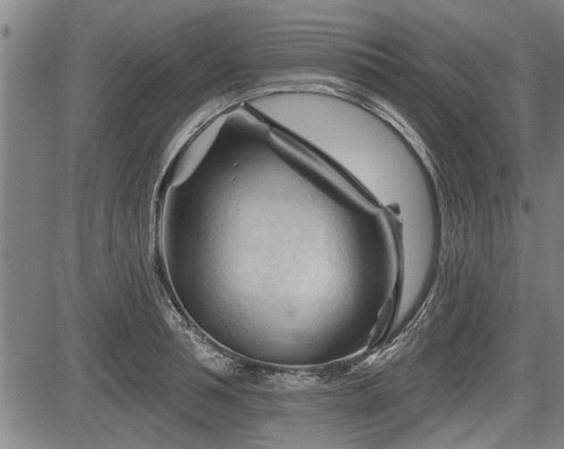 X0000083610994200702201245