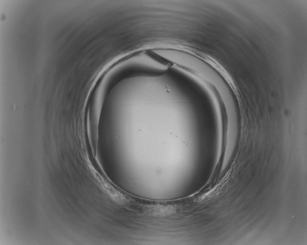 X0000083610996200702201245