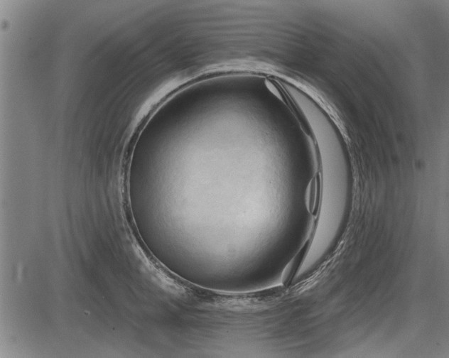 X0000083610998200702201245