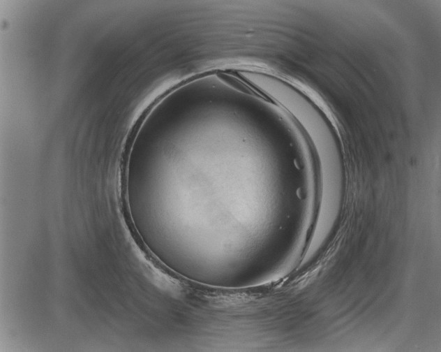 X0000083610999200702201245