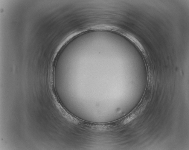 X0000083611000200702201245