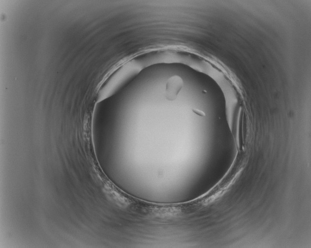 X0000083611001200702201245