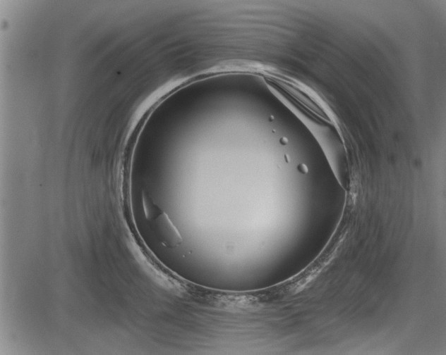 X0000083611003200702201245