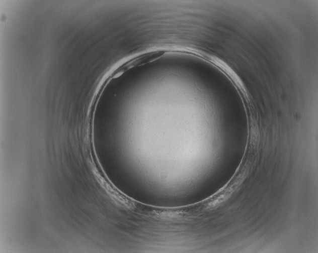 X0000083611004200702201245