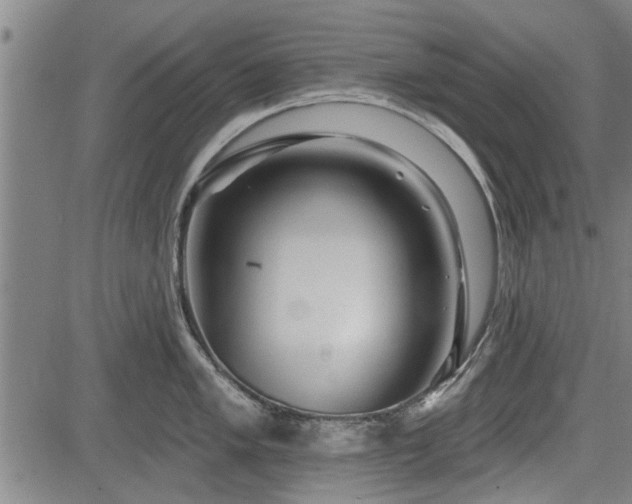 X0000083611005200702201245