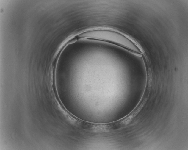 X0000083611006200702201245