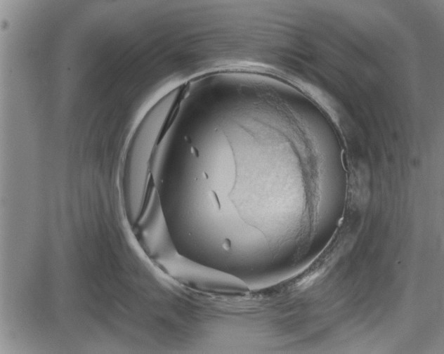 X0000083611007200702201245