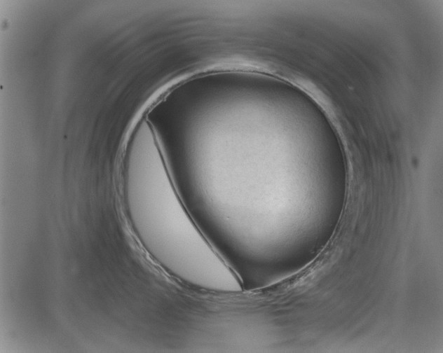 X0000083611008200702201245