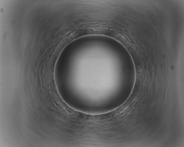 X0000083611009200702201244