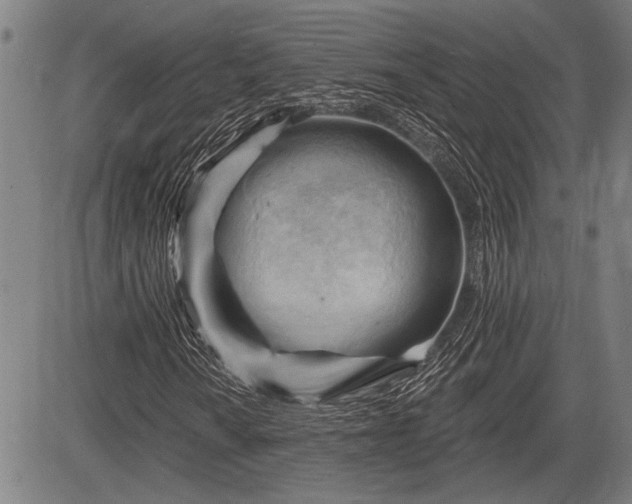 X0000083611010200702201244