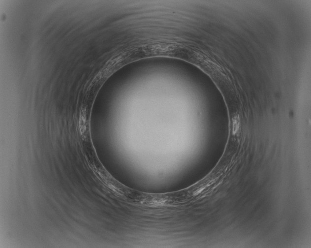 X0000083611011200702201244