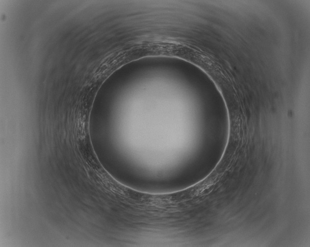 X0000083611013200702201244