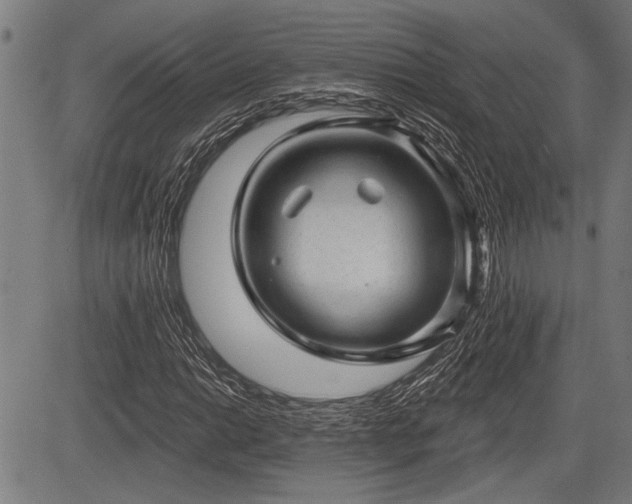 X0000083611014200702201244