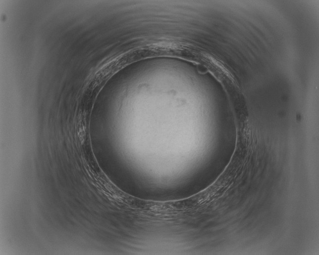 X0000083611015200702201244