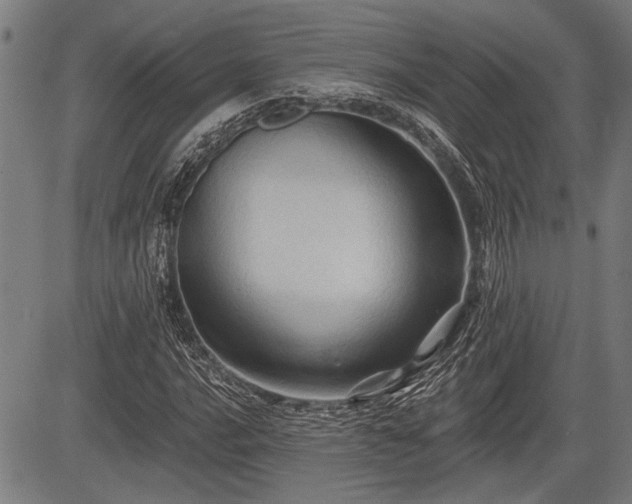 X0000083611016200702201244