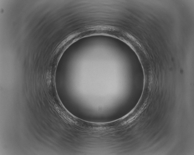 X0000083611017200702201244