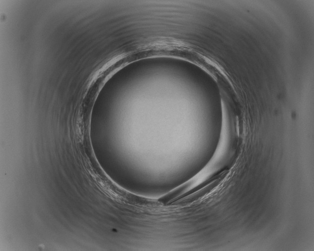 X0000083611018200702201244