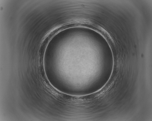 X0000083611019200702201244