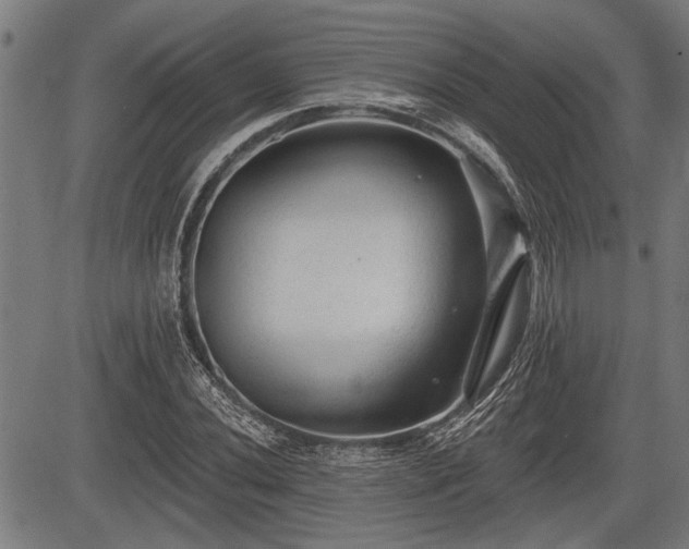 X0000083611020200702201244