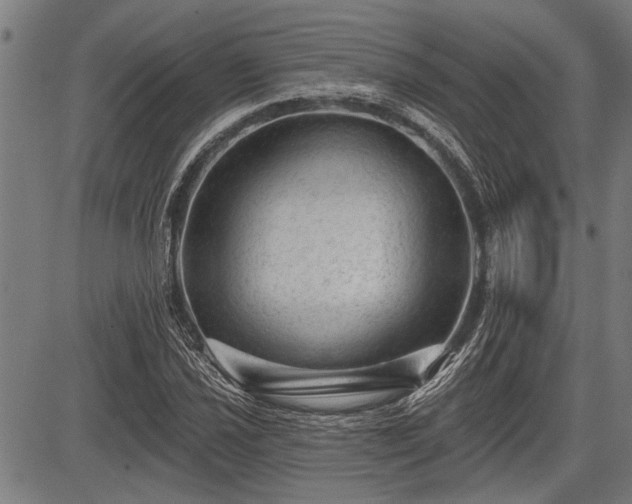 X0000083611021200702201244