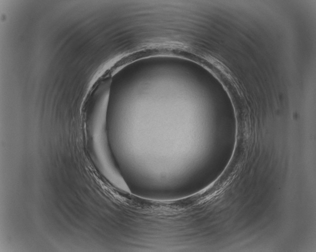 X0000083611022200702201244