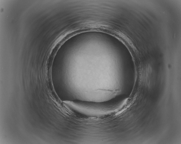 X0000083611023200702201244