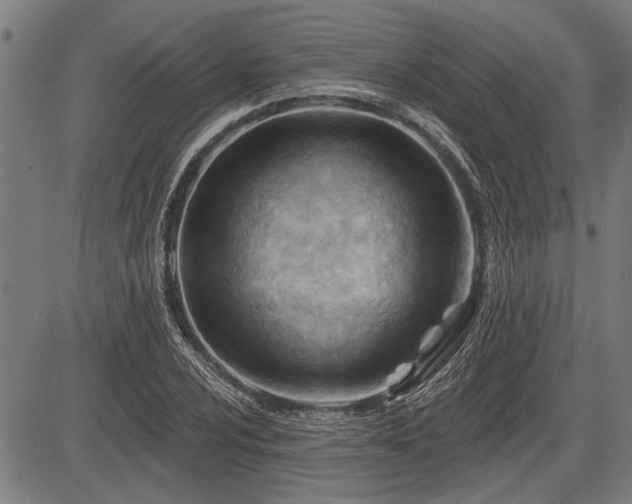 X0000083611024200702201244