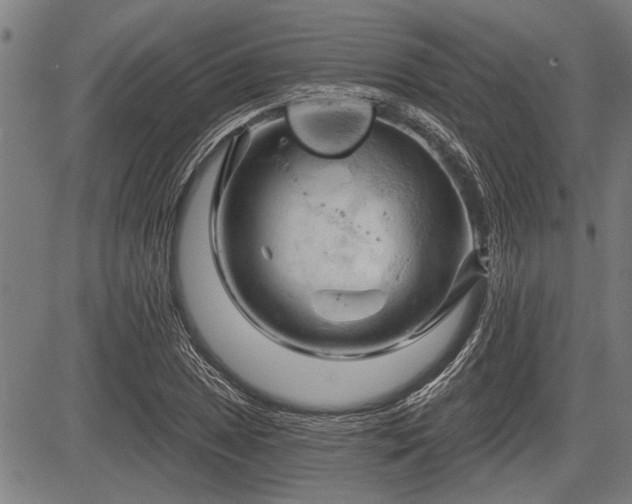 X0000083611025200702201244