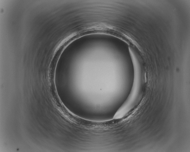 X0000083611026200702201244