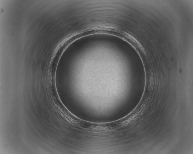 X0000083611027200702201244