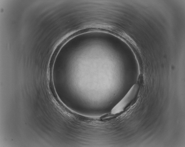 X0000083611028200702201244