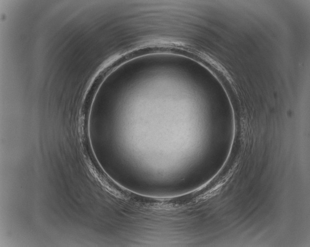 X0000083611029200702201244