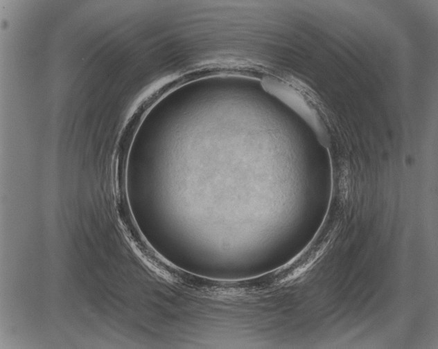 X0000083611030200702201244