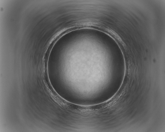 X0000083611031200702201244