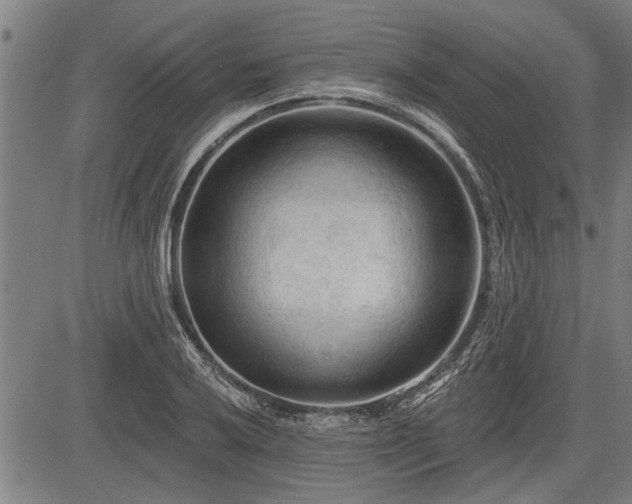 X0000083611032200702201244