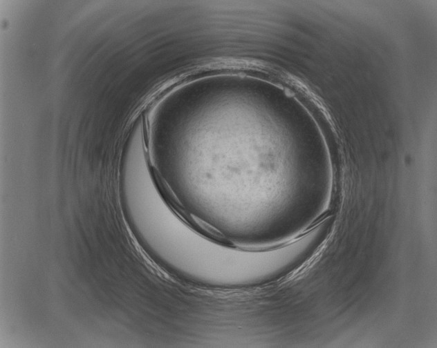 X0000083611033200702201244