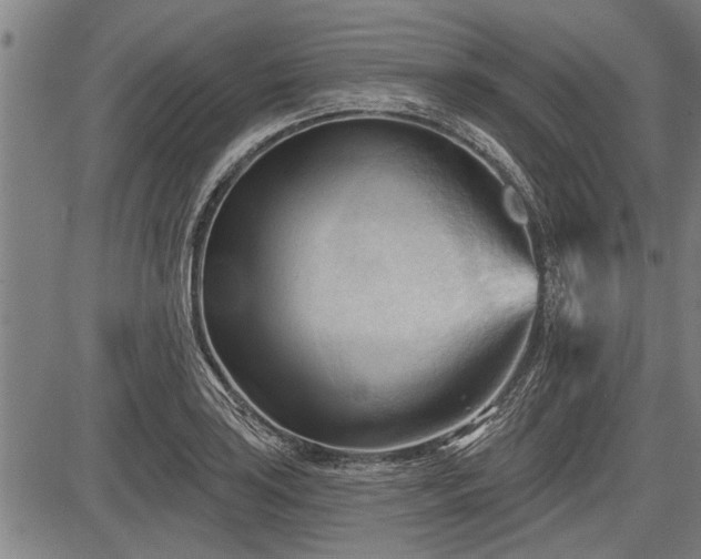 X0000083611035200702201244