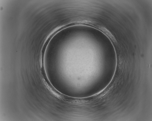 X0000083611036200702201244