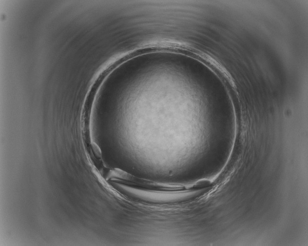 X0000083611037200702201244